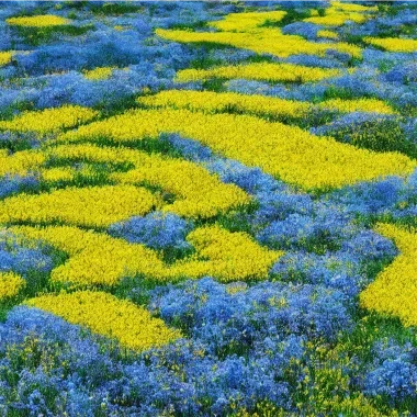 Мирная Украина