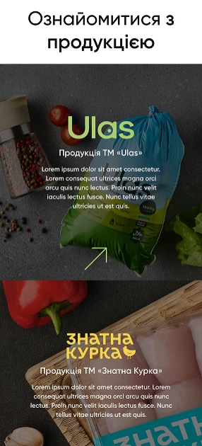 Дніпровська