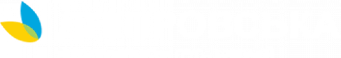 Дніпровська