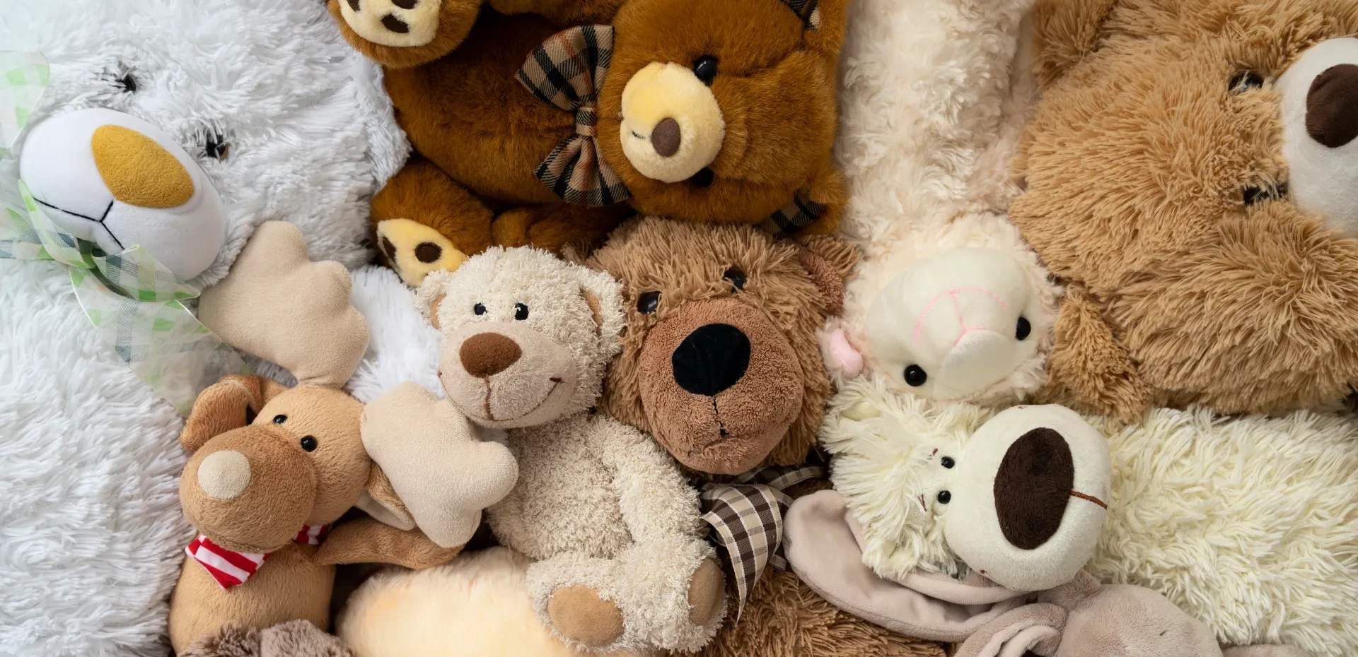 Створення інтернет-магазину іграшок